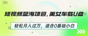 短视频蓝海项目,美女车载U盘,轻松月入过万,适合0基础小白【揭秘】-淘金日记