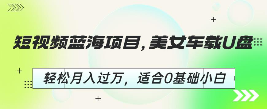 短视频蓝海项目,美女车载U盘,轻松月入过万,适合0基础小白【揭秘】-淘金日记