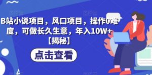 B站小说项目，风口项目，操作0难度，可做长久生意，年入10W+【揭秘】-淘金日记