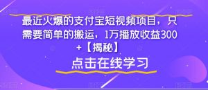 最近火爆的支付宝短视频项目，只需要简单的搬运，1万播放收益300+【揭秘】-淘金日记