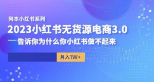 阿本小红书无货源电商3.0,告诉你为什么你小红书做不起来-淘金日记