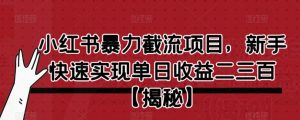 小红书暴力截流项目，新手快速实现单日收益二三百【仅揭秘】-淘金日记