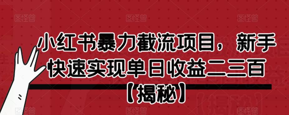 小红书暴力截流项目，新手快速实现单日收益二三百【仅揭秘】-淘金日记