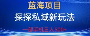 蓝海项目,探探私域新玩法,一部手机日入500+很轻松【揭秘】-淘金日记
