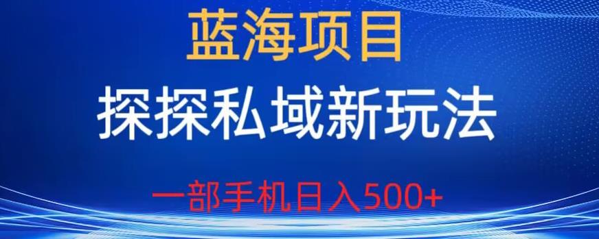 蓝海项目,探探私域新玩法,一部手机日入500+很轻松【揭秘】-淘金日记