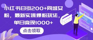 小红书日引200+同城女粉，最新实操爆粉玩法，单日变现1000+【揭秘】-淘金日记
