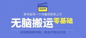 揭秘最新爆火无脑搬运故事桥段撸金项目，零基础可月入上万【全套详细玩法教程】-淘金日记