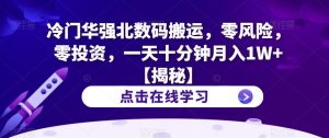冷门华强北数码搬运,零风险,零投资,一天十分钟月入1W+【揭秘】-淘金日记