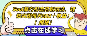 Soul暴力引流男粉玩法，轻松实现每天500＋收益！【揭秘】-淘金日记