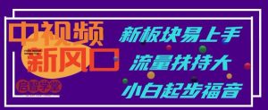 中视频新风口，新板块易上手，流量扶持大，小白起步福音【揭秘】-淘金日记
