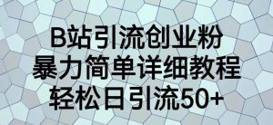 B站引流创业粉,暴力简单详细教程,轻松日引流50+【揭秘】-淘金日记