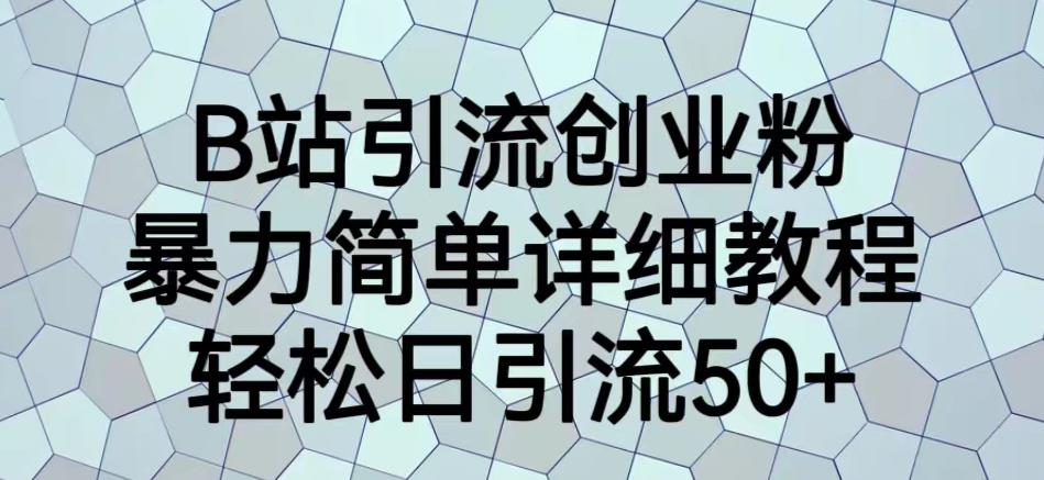 B站引流创业粉，暴力简单详细教程，轻松日引流50+【揭秘】-淘金日记