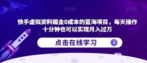 快手虚拟资料掘金0成本的蓝海项目，每天操作十分钟也可以实现月入过万【揭秘】-淘金日记