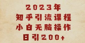 2023知乎引流课程，小白无脑操作日引200+【揭秘】-淘金日记