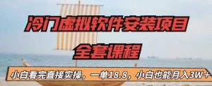 冷门虚拟软件安装项目,一单18.8,小白也能月入3W+【揭秘】-淘金日记