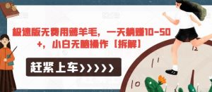极速版无费用薅羊毛，一天躺赚10-50+，小白无脑操作【拆解】-淘金日记