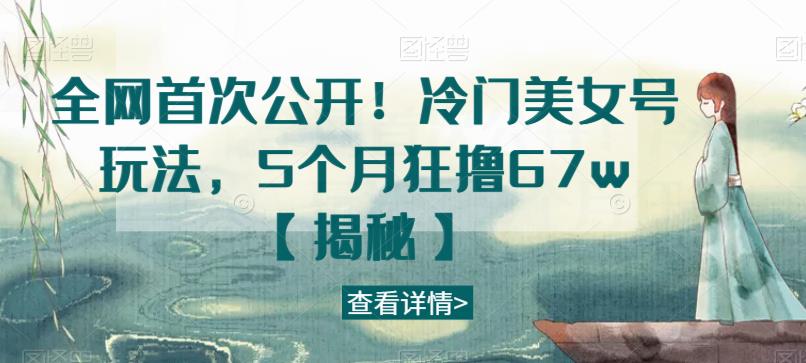 全网首次公开！冷门美女号玩法，5个月狂撸67w【揭秘】-淘金日记