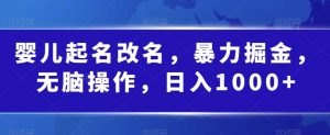 婴儿起名改名,暴力掘金,无脑操作,日入1000+【揭秘】-淘金日记