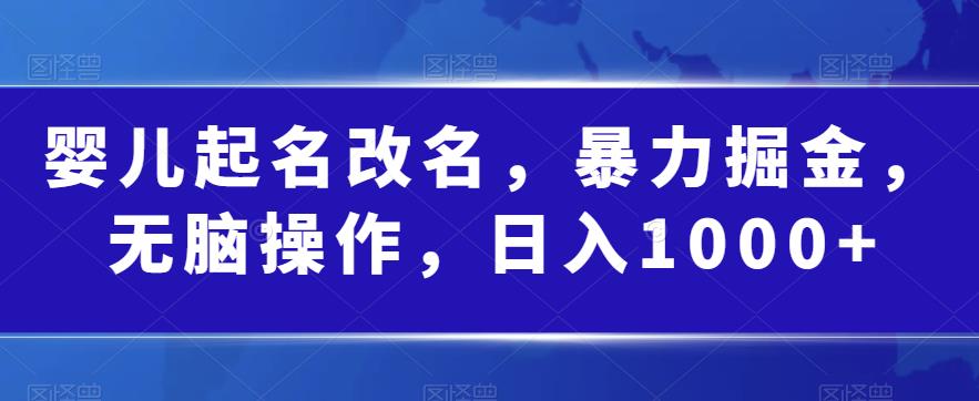 婴儿起名改名，暴力掘金，无脑操作，日入1000+【揭秘】-淘金日记