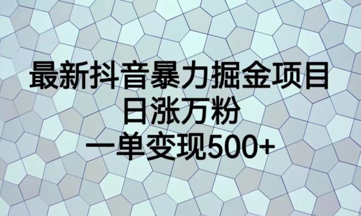最新抖音暴力掘金项目，日涨万粉，一单变现500+【揭秘】-淘金日记