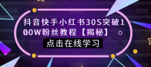 抖音快手小红书30S突破100W粉丝教程【揭秘】-淘金日记