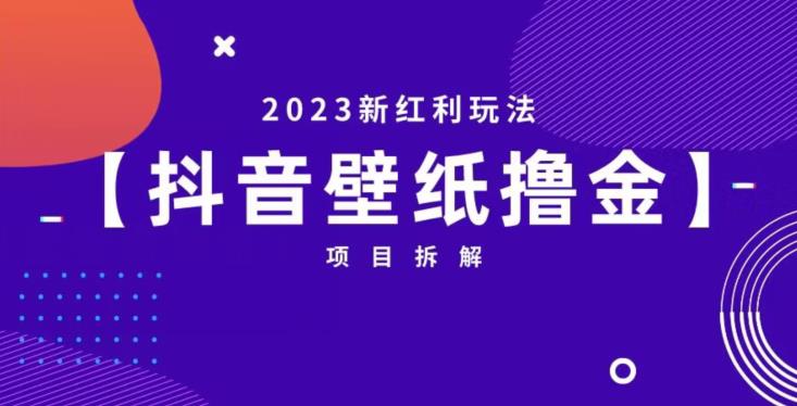抖音壁纸小程序创作者撸金项目，2023新红利玩法【项目拆解】-淘金日记