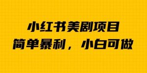 外面卖1980的小红书美剧项目,单日收益1000+,小众暴利的赛道【揭秘】-淘金日记