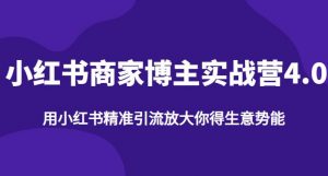 【推荐】小红书商家博主精准引流实战营4.0,用小红书放大你的生意势能-淘金日记