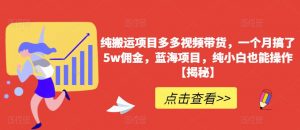 纯搬运项目多多视频带货,一个月搞了5w佣金,蓝海项目,纯小白也能操作【揭秘】-淘金日记