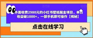外面收费2980元的小红书壁纸掘金项目,单日收益破1000+,一部手机即可操作【揭秘】-淘金日记