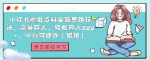 小红书虚拟资料全新思路玩法,流量巨大,轻松日入300+,小白可操作【揭秘】-淘金日记