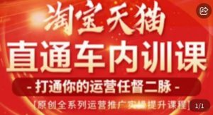 天问电商·2023淘宝天猫直通车内训课，零基础学起直通车运营实操课程-淘金日记
