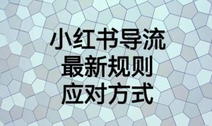 小红书导流最新规则应对方式【揭秘】-淘金日记