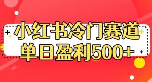 小红书冷门赛道，单日盈利500+【揭秘】-淘金日记
