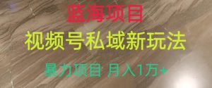 蓝海项目,视频号私域新玩法,暴力项目月入1万+【揭秘】-淘金日记