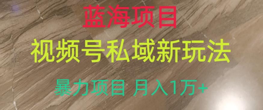 蓝海项目，视频号私域新玩法，暴力项目月入1万+【揭秘】-淘金日记