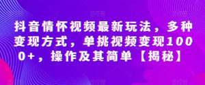 抖音情怀视频最新玩法,多种变现方式,单挑视频变现1000+,操作及其简单【揭秘】-淘金日记