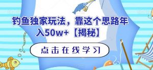钓鱼独家玩法,靠这个思路年入50w+【揭秘】-淘金日记