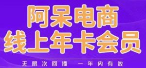 阿呆电商线上年会员，阿呆电商干货分享（更新中）-淘金日记