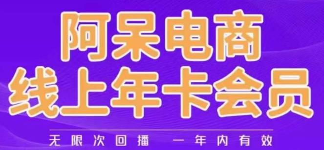 阿呆电商线上年会员，阿呆电商干货分享（更新中）-淘金日记