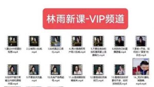 林雨新课VIP频道,玩赚私域/朋友圈/社群-淘金日记