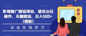 影视推广搬运项目，适合小白操作，无脑搬运，日入500+【揭秘】-淘金日记