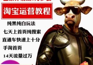 猫老师·淘系算法逆向解密，​纯黑纯白玩法，七天上首页纯搜索，手淘首页14天流量过万-淘金日记