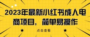 2023年最新小红书成人电商项目，简单易操作【详细教程】【揭秘】-淘金日记