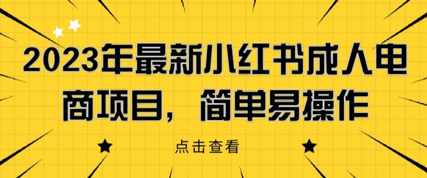 2023年最新小红书成人电商项目，简单易操作【详细教程】【揭秘】-淘金日记