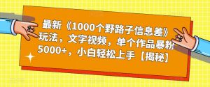 最新《1000个野路子信息差》玩法，文字视频，单个作品暴粉5000+，小白轻松上手【揭秘】-淘金日记