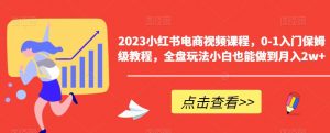 2023小红书电商视频课程，0-1入门保姆级教程，全盘玩法小白也能做到月入2w+-淘金日记