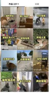 拆解:抖音盘点类中视频变现副业项目,视频版一条龙大解析分享给你-淘金日记