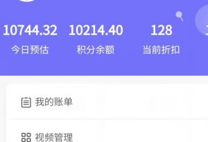 新手也能日入几百的冷门DIY项目，0基础全程实操【揭秘】-淘金日记