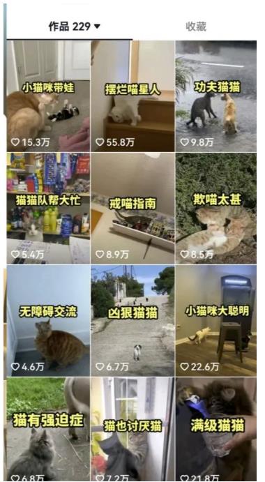 拆解抖音盘点类中视频变现副业项目,视频版一条龙大解析分享给你【视频课程】-淘金日记